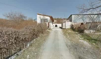 Da darina