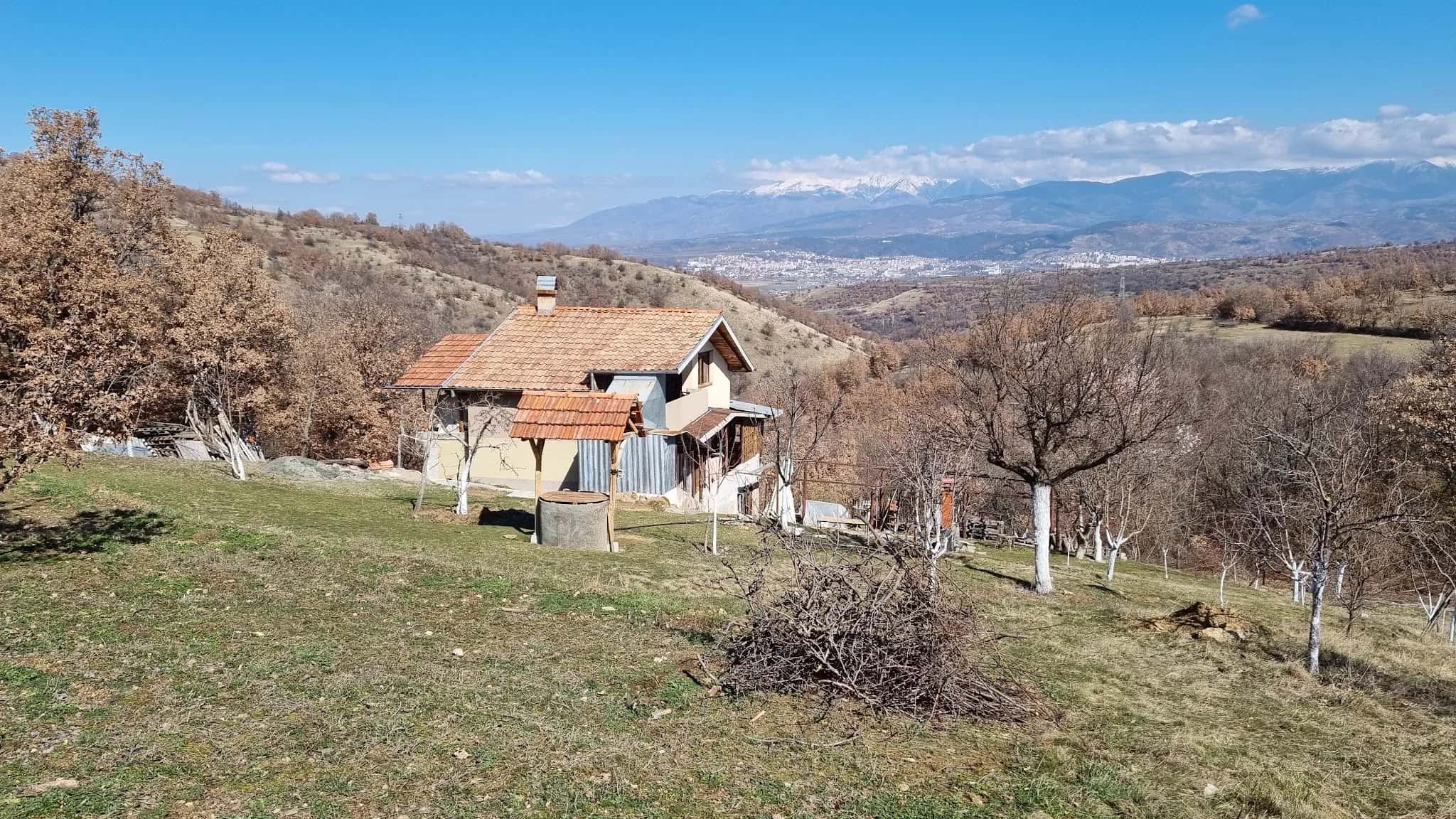 Вила Микови