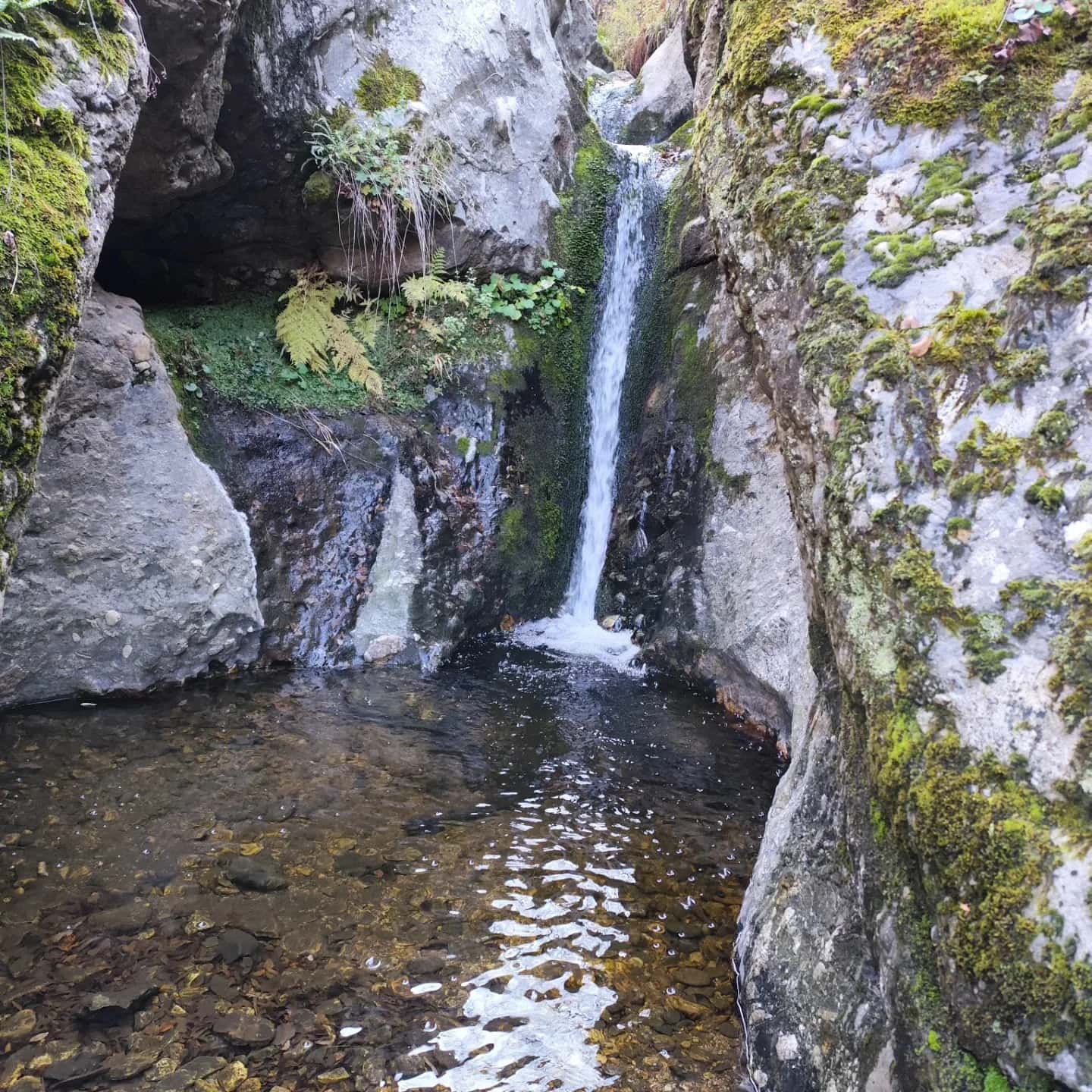 “Bohemia Falls” Ecotrail