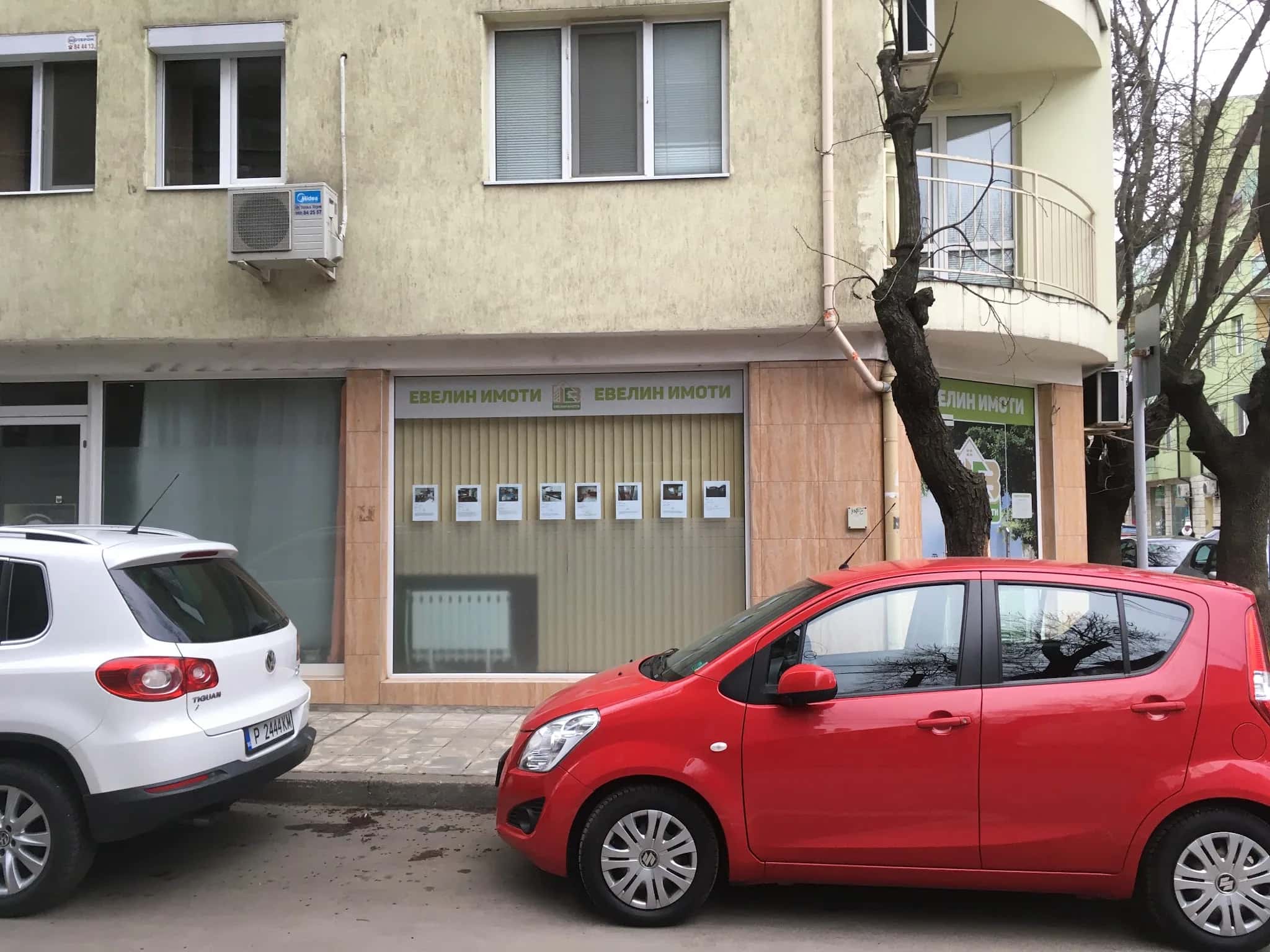 Евелин Имоти