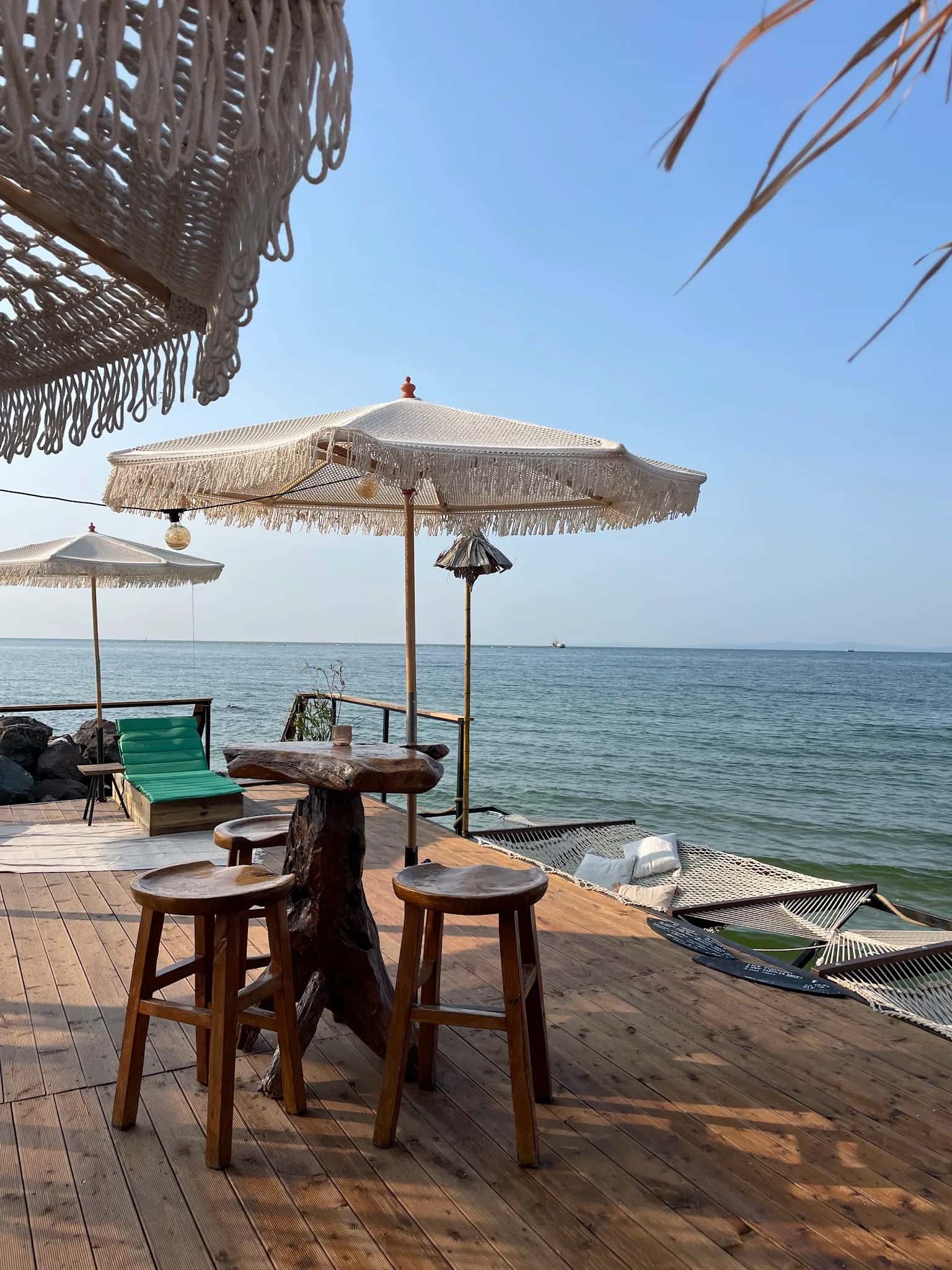 Extreme Surf School and Bar