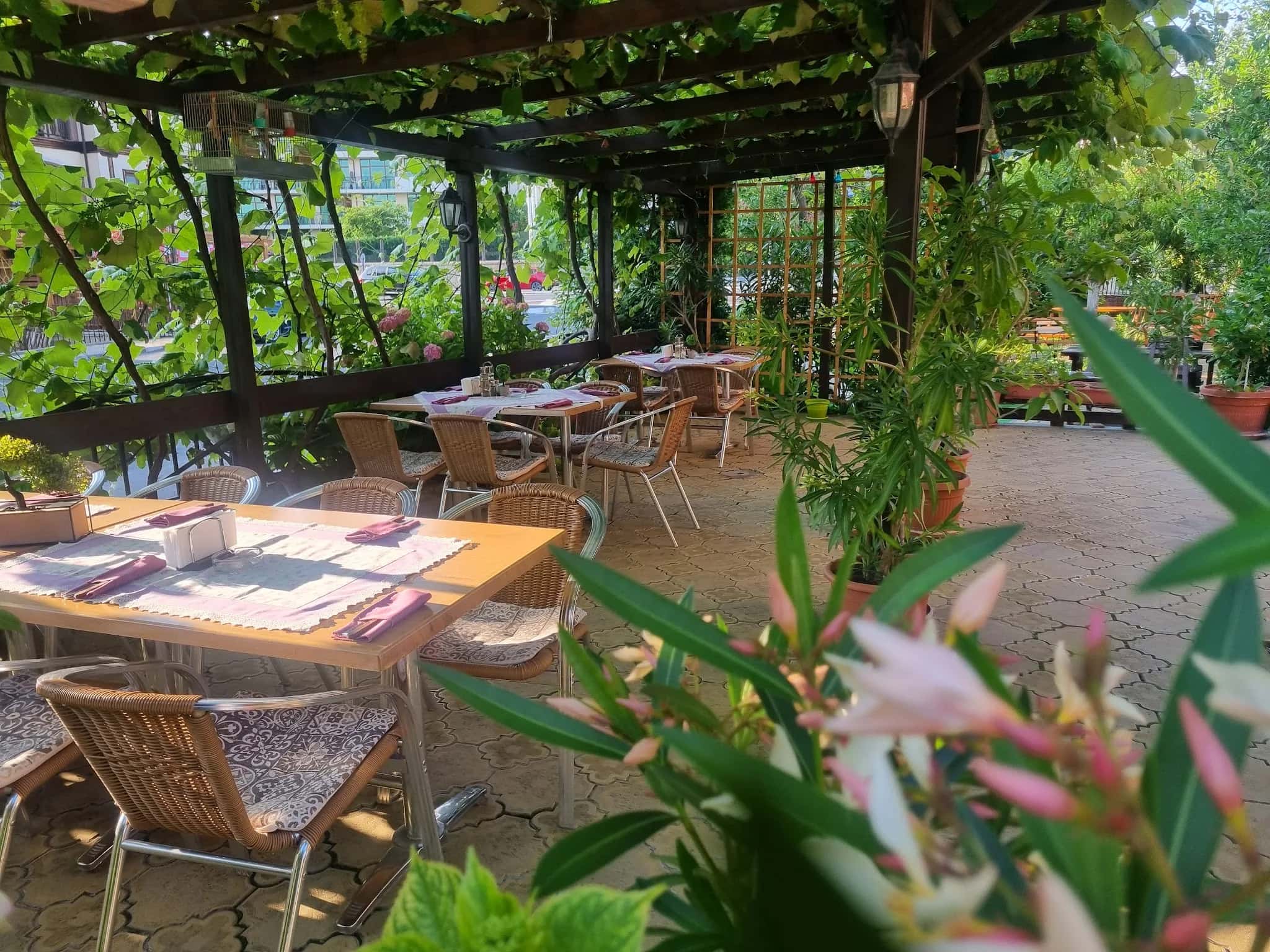 Restaurant Rainbow Saint Vlas