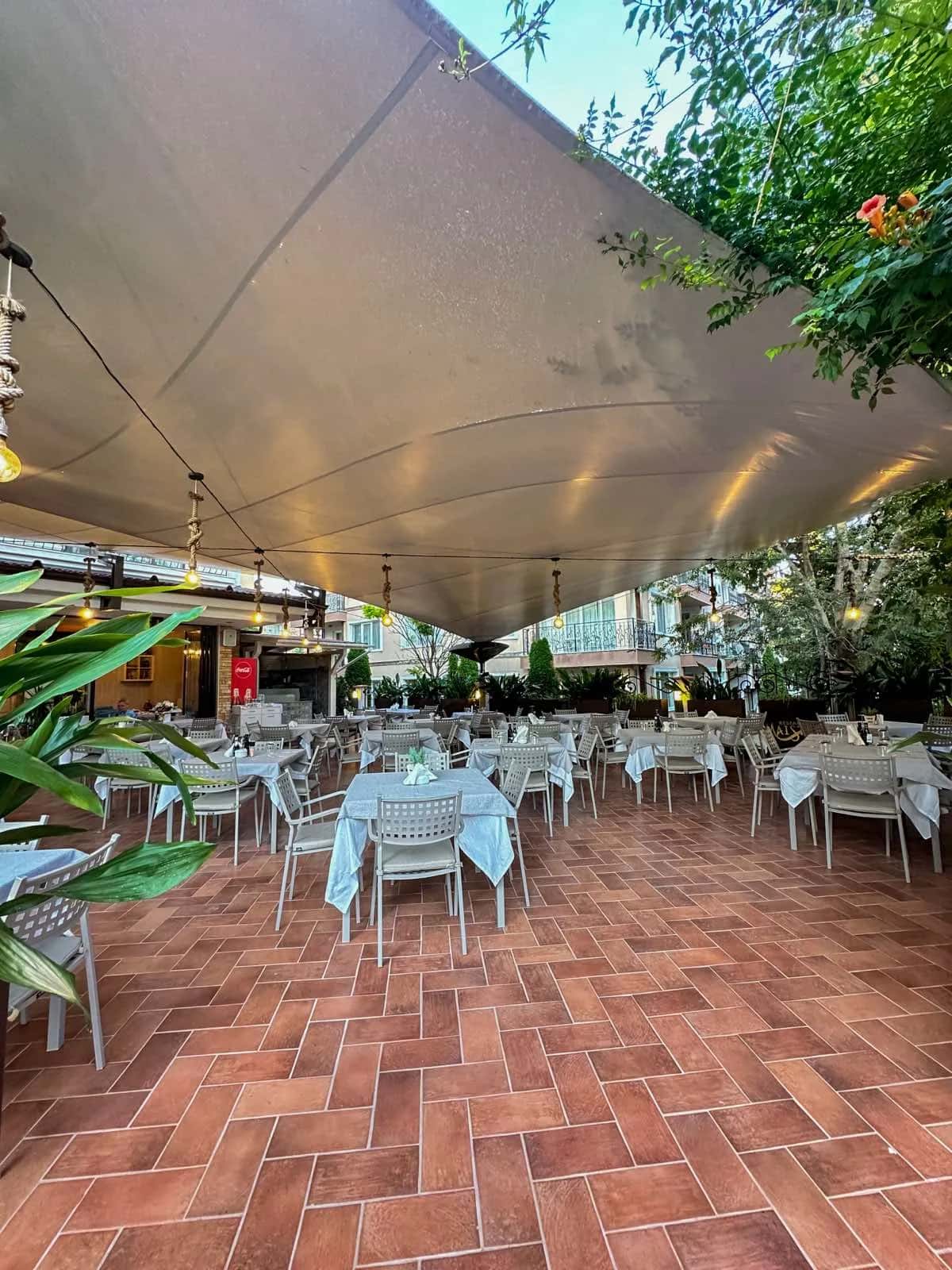 Maistro Meat & Fish