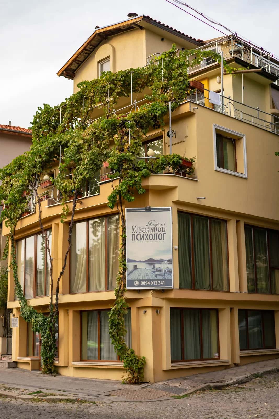 Puldin House