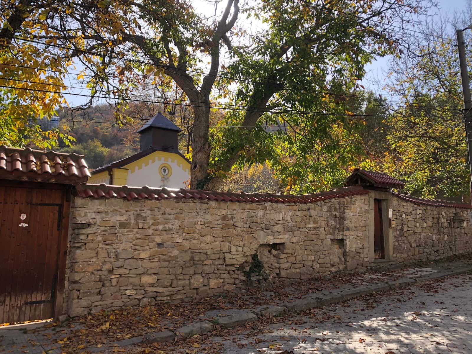 Дева Мария на Броеницата