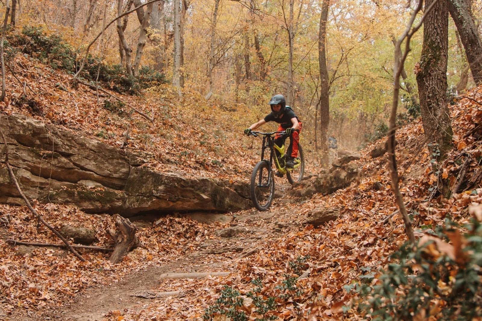 WiLD BiKE PARK