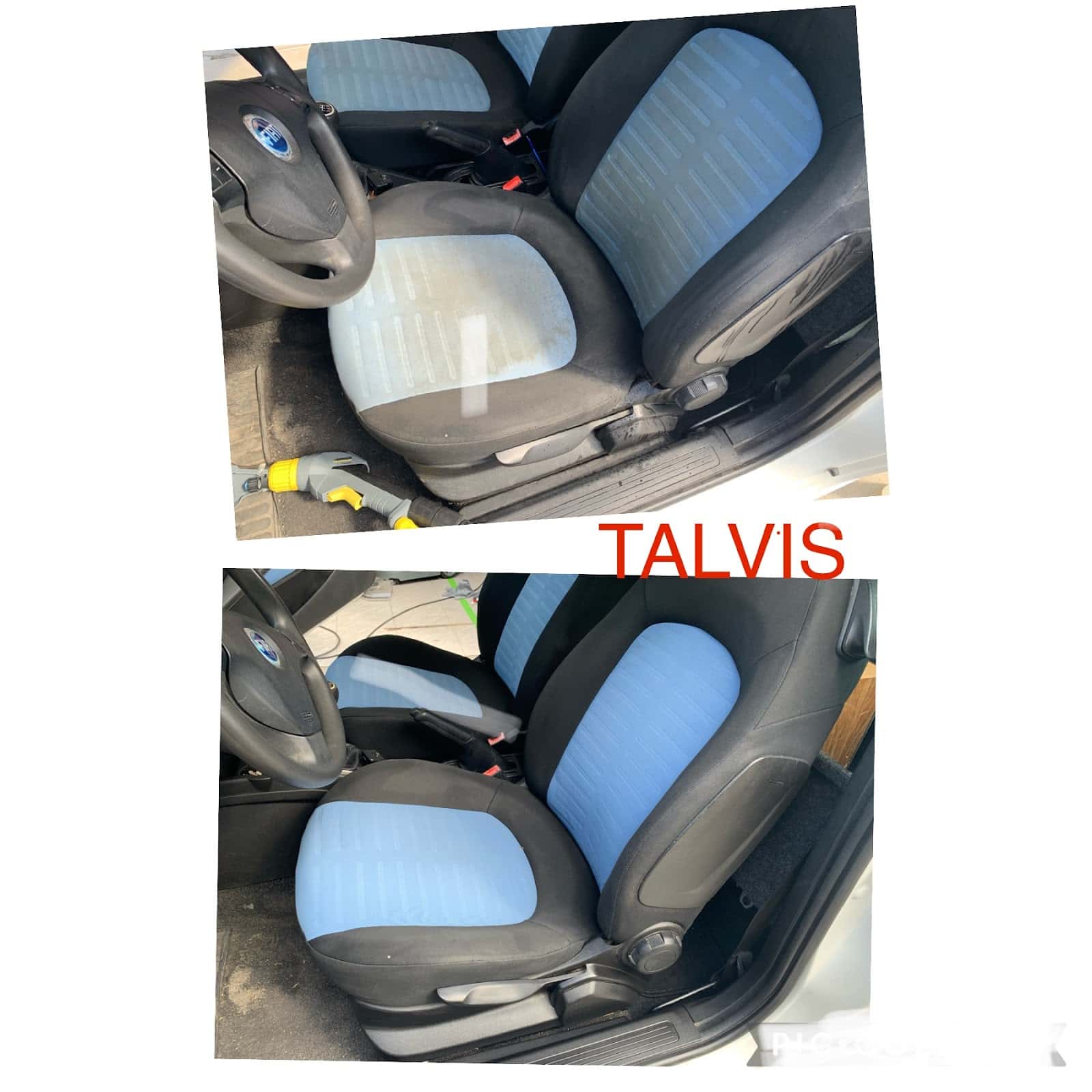 Talvis