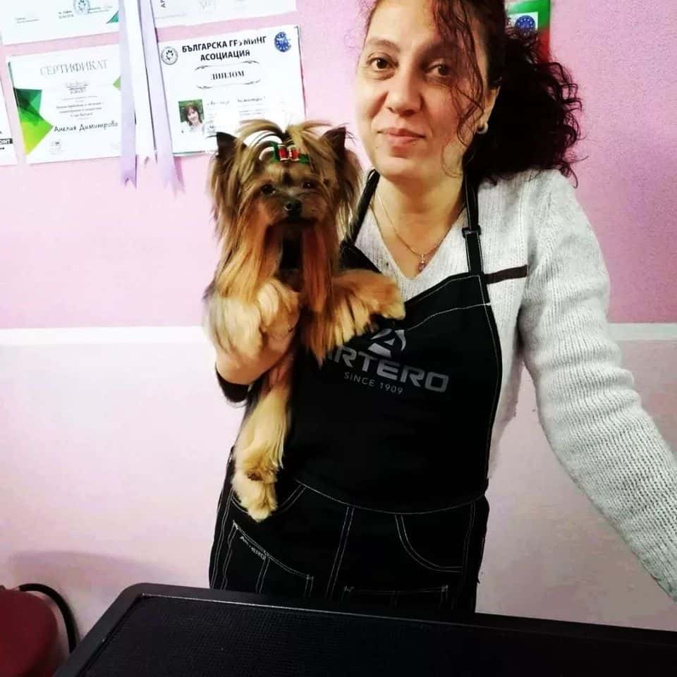 Груминг студио The 2 Yorkies