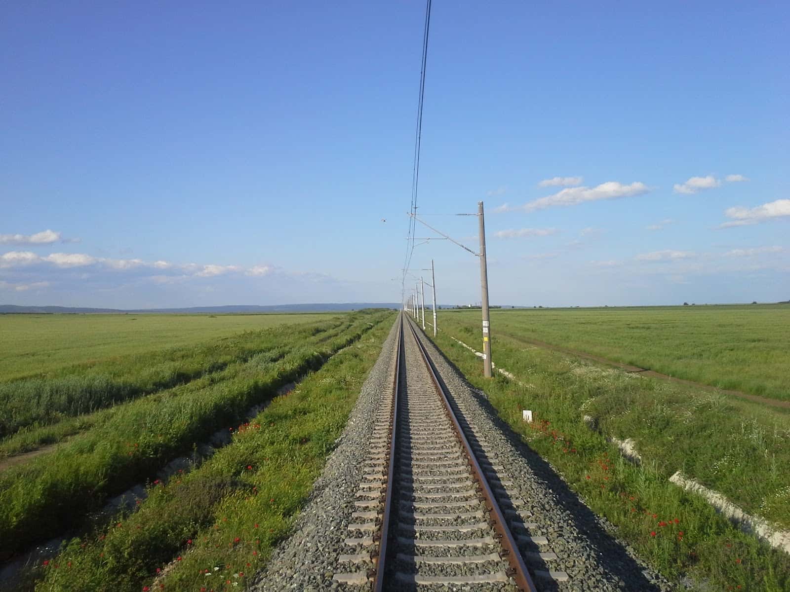 ЕЛВЕКО
