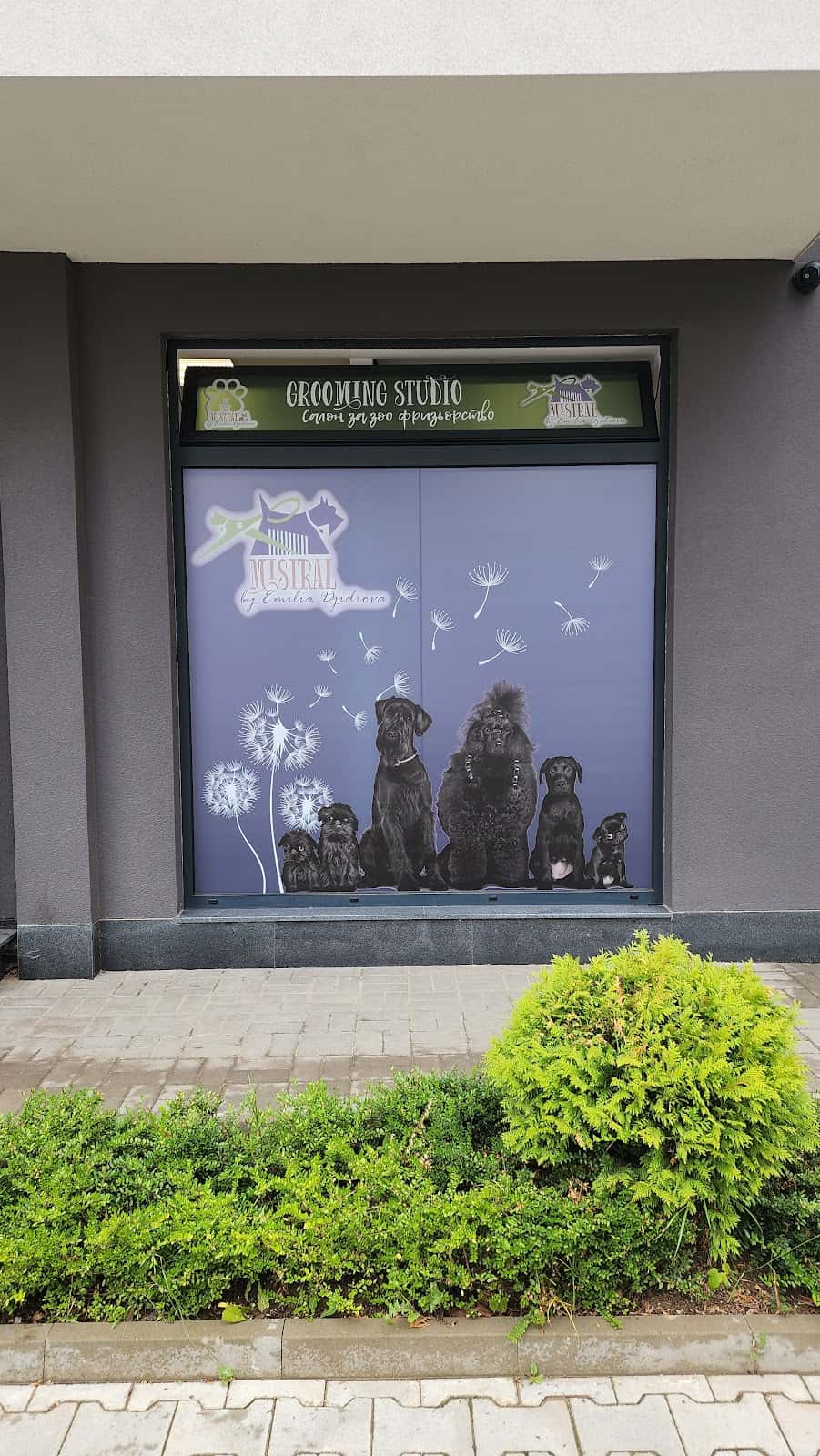 Mistral Grooming Studio