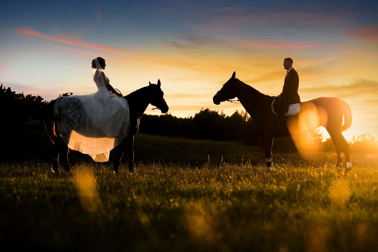 Svetlana AliNova Photography