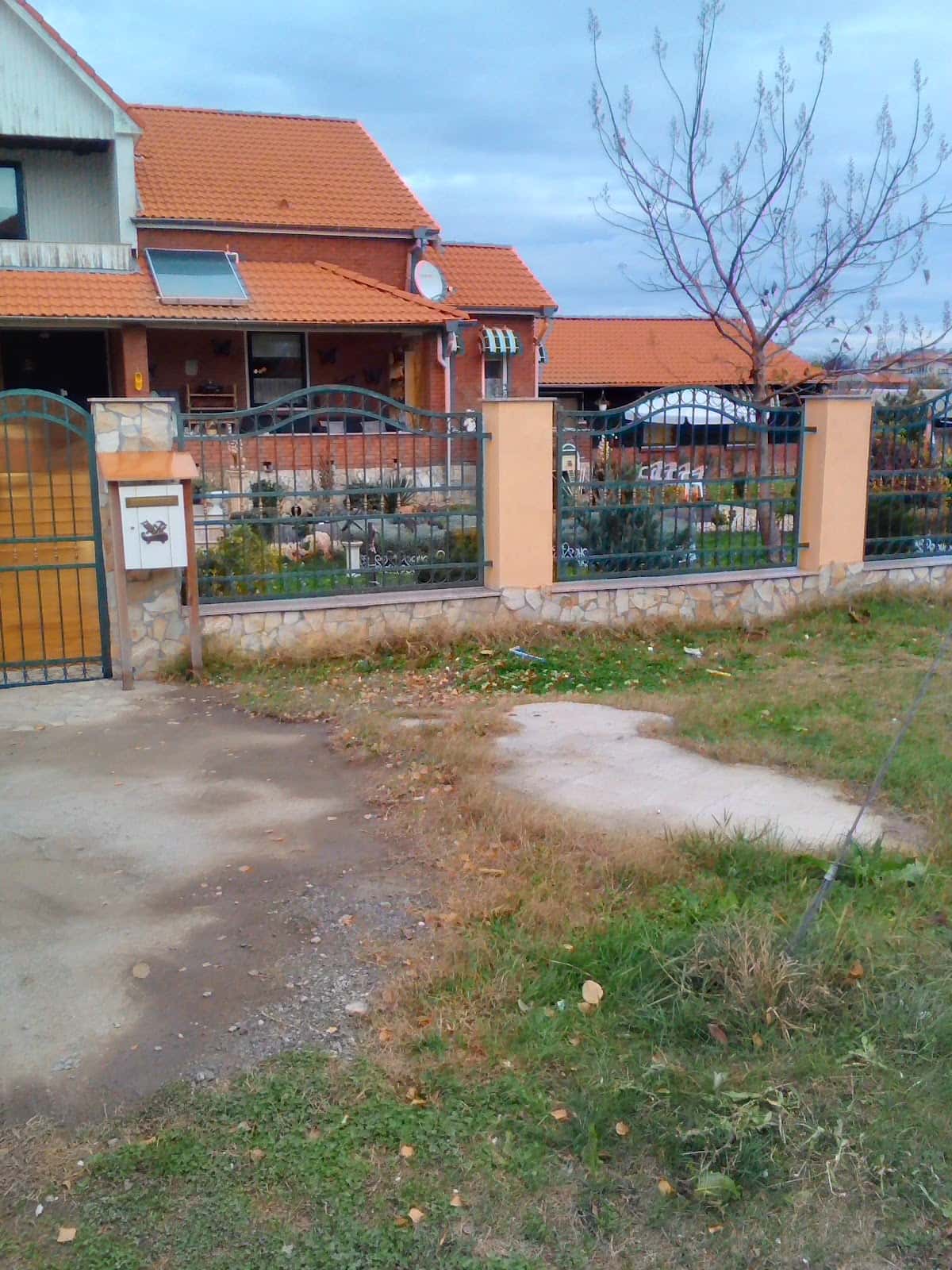Сачи
