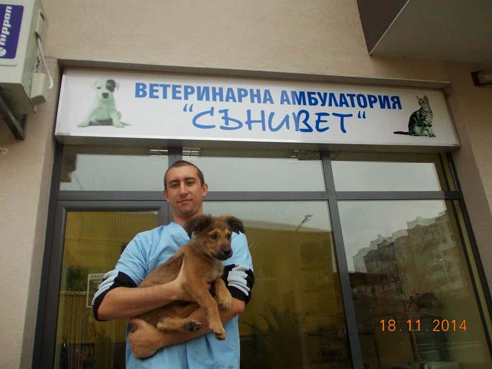 Ветеринарна амбулатория и ДДД "Сънивет"