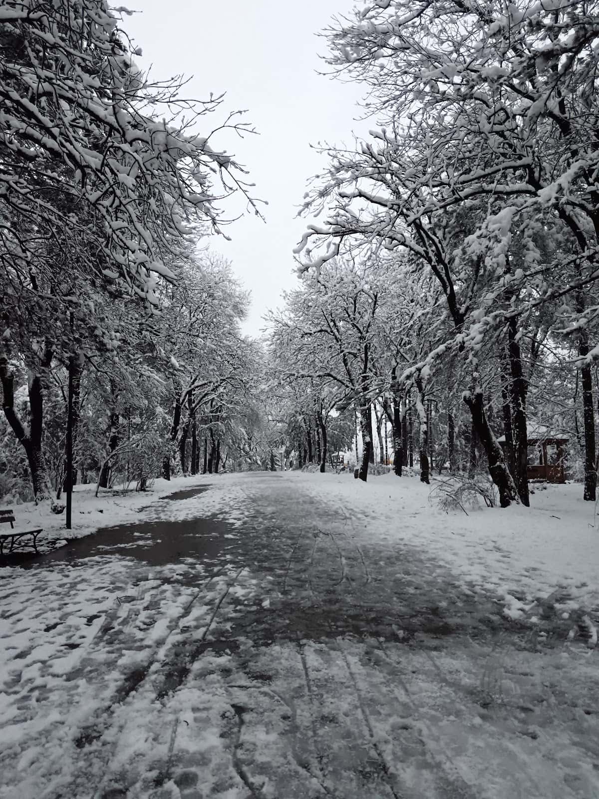 Хамак плейс