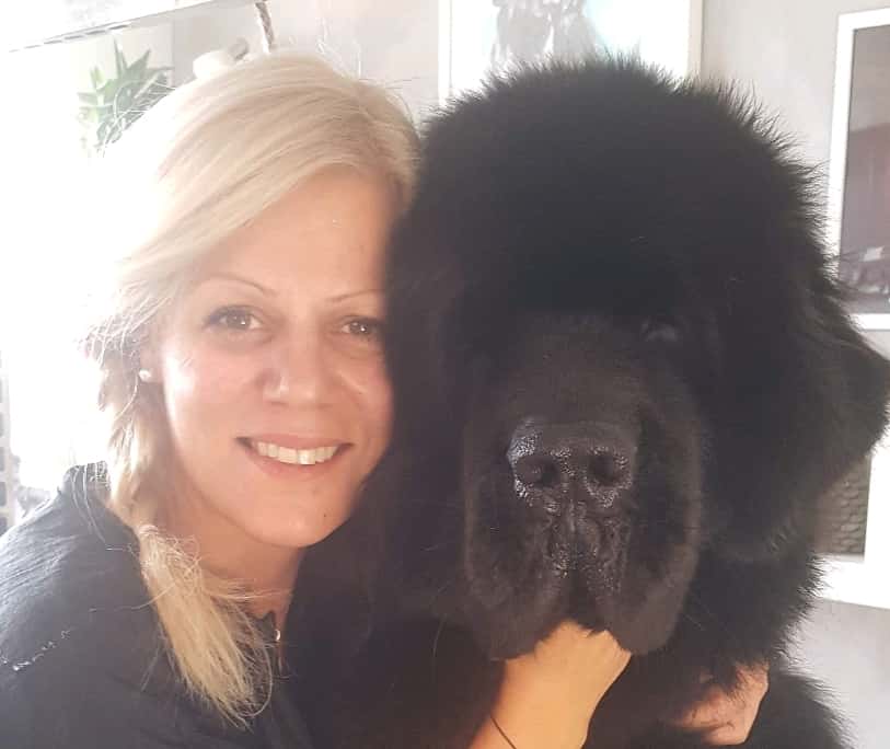 Груминг салон Beauty Pet