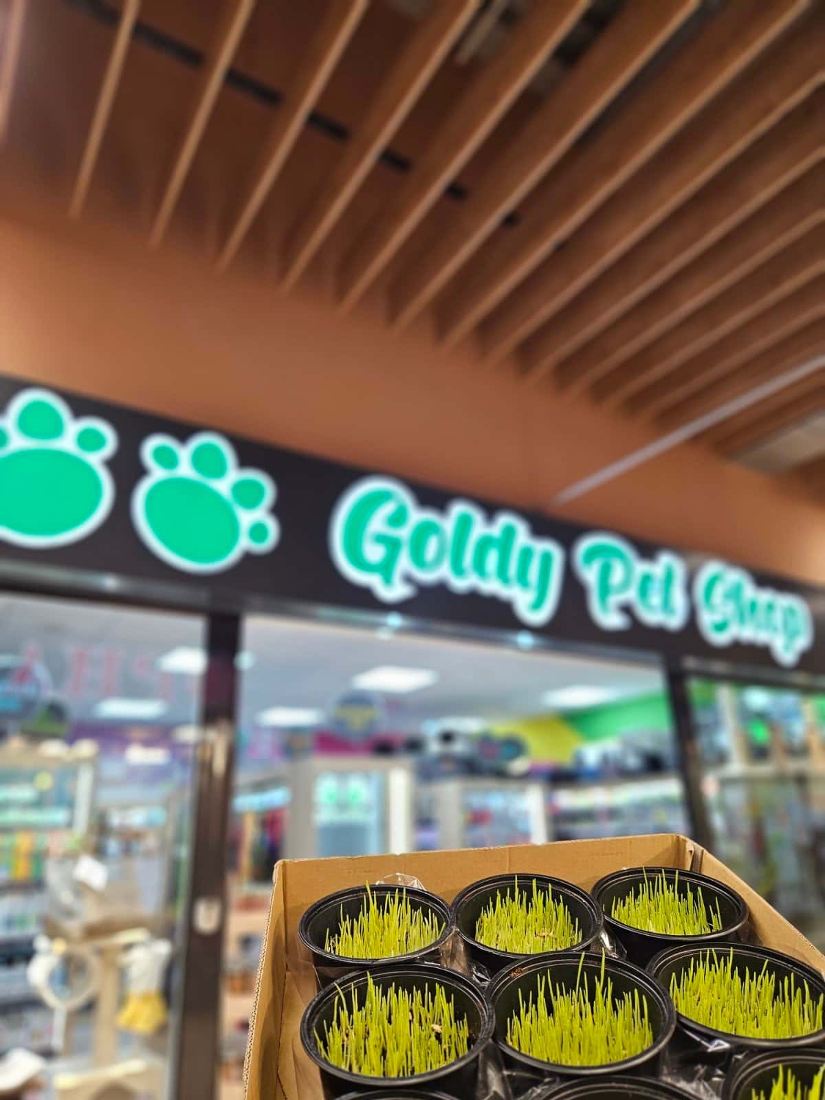 Зоомагазин "Goldy Pet Shop" / Кауфланд-Изгрев