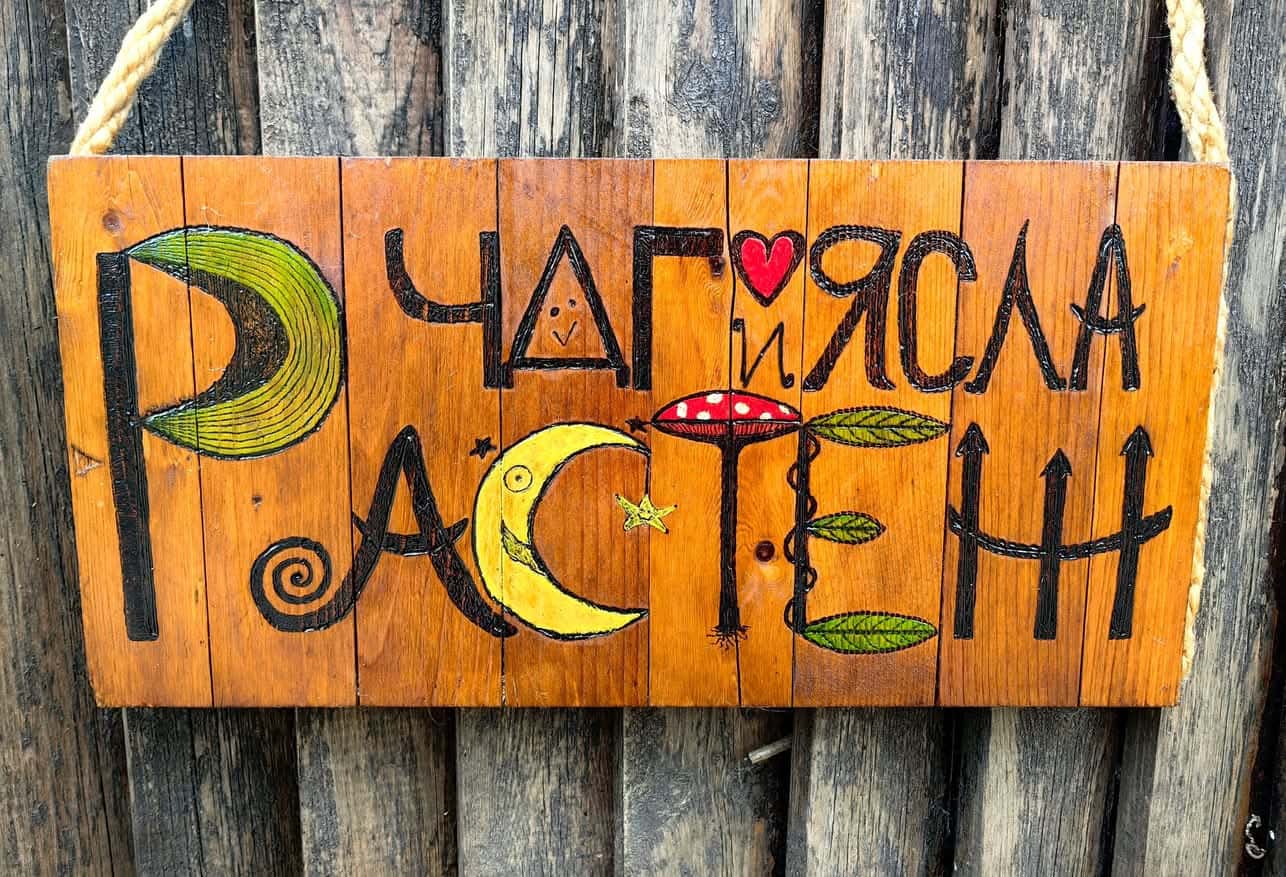 Частна детска градина и ясла "Растеж" / Growers Day Care