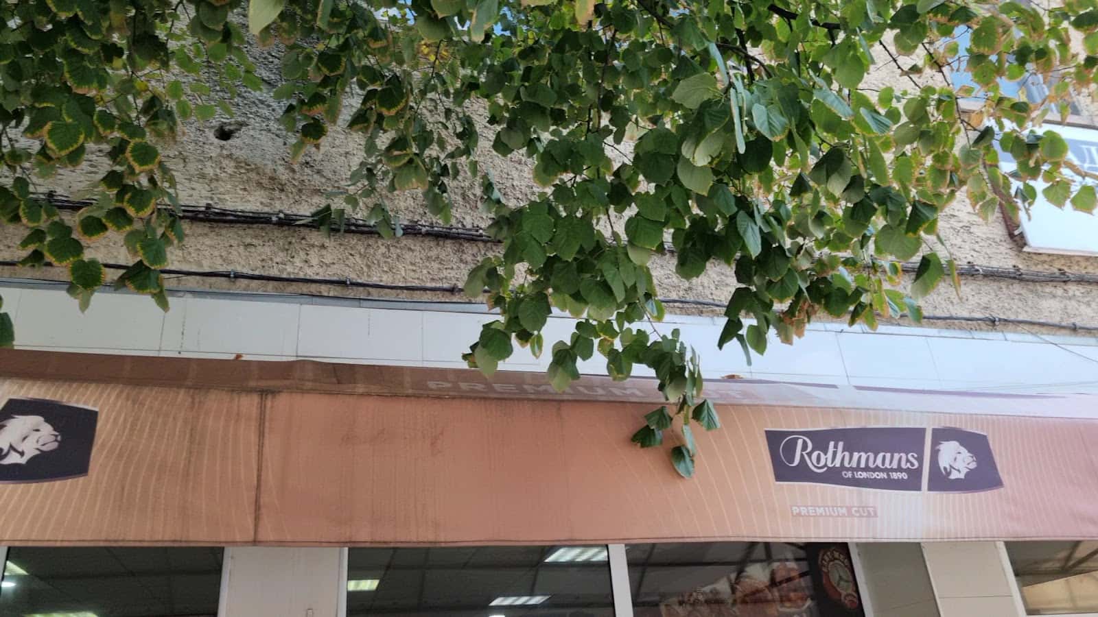 ЕЛИТ МЕС МИНЕВИ