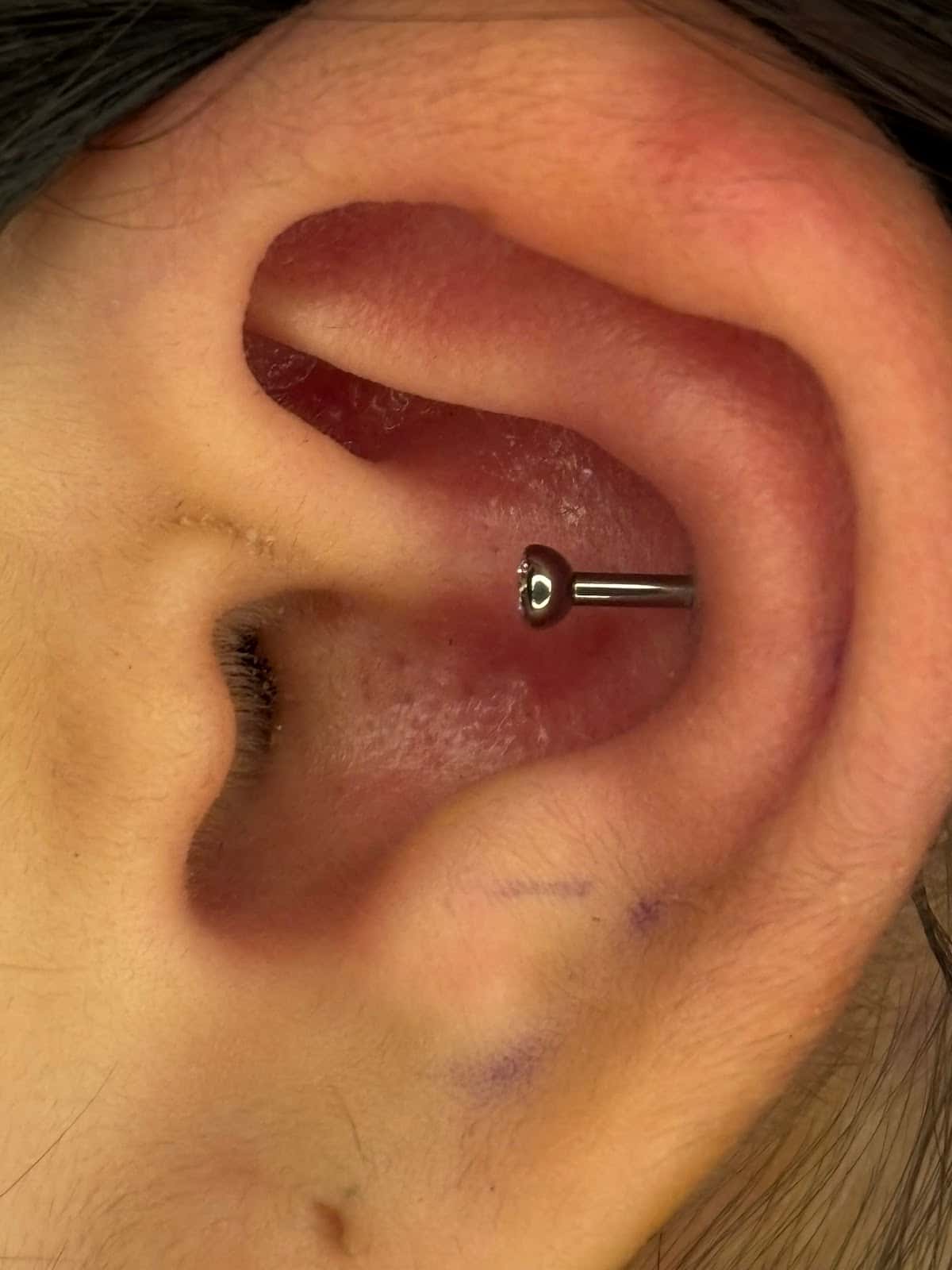 Piercings by rico