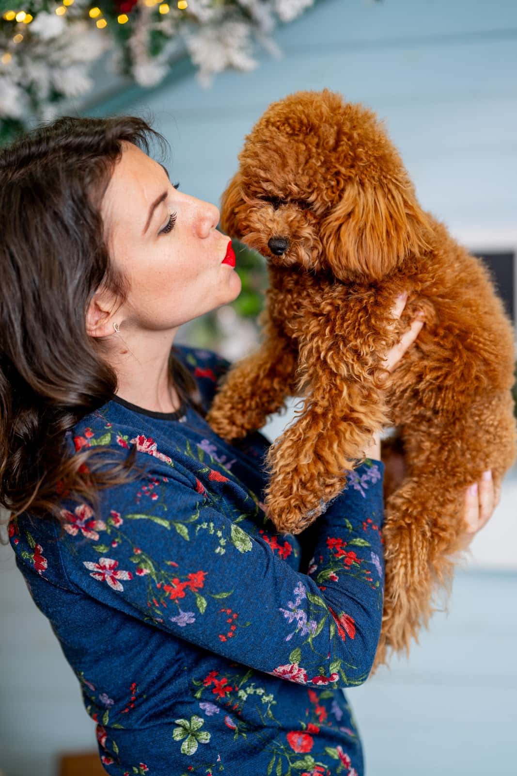 Груминг салон Beauty Pets Grooming