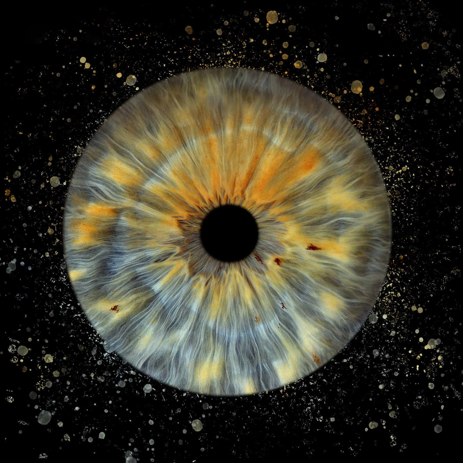 Eye Catch Studio Plovdiv - Ирисова фотография / Iris Photography