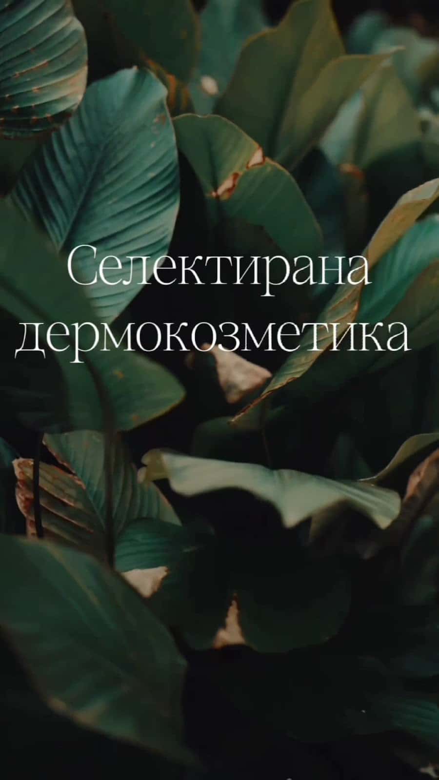 Y Cosmetics Bulgaria Ltd.